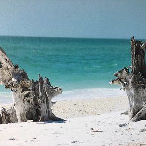 Meet your Posher, Vitamax